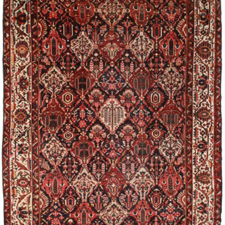 Persian Baktiari 11x15 Rug 14159