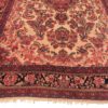 Persian Hamedan 9x13 Oriental Rug 1442