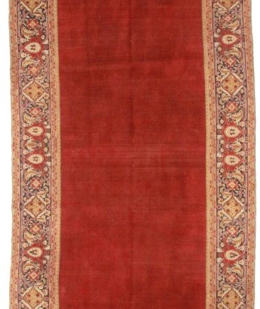 Antique Indian Agra 7x19 Wool Oriental Rug 5733