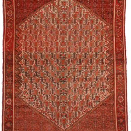 Antique Persian Senneh 5x6 Wool Oriental Rug 8585