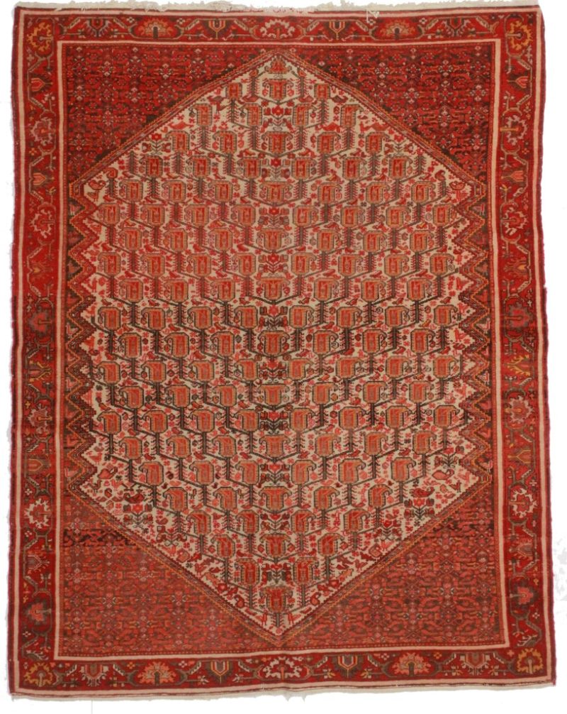 Antique Persian Senneh 5x6 Wool Oriental Rug 8585