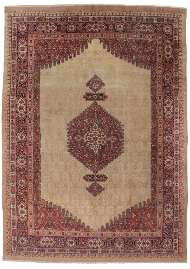 Antique Persian Serab 9 x 12 Rug 1050