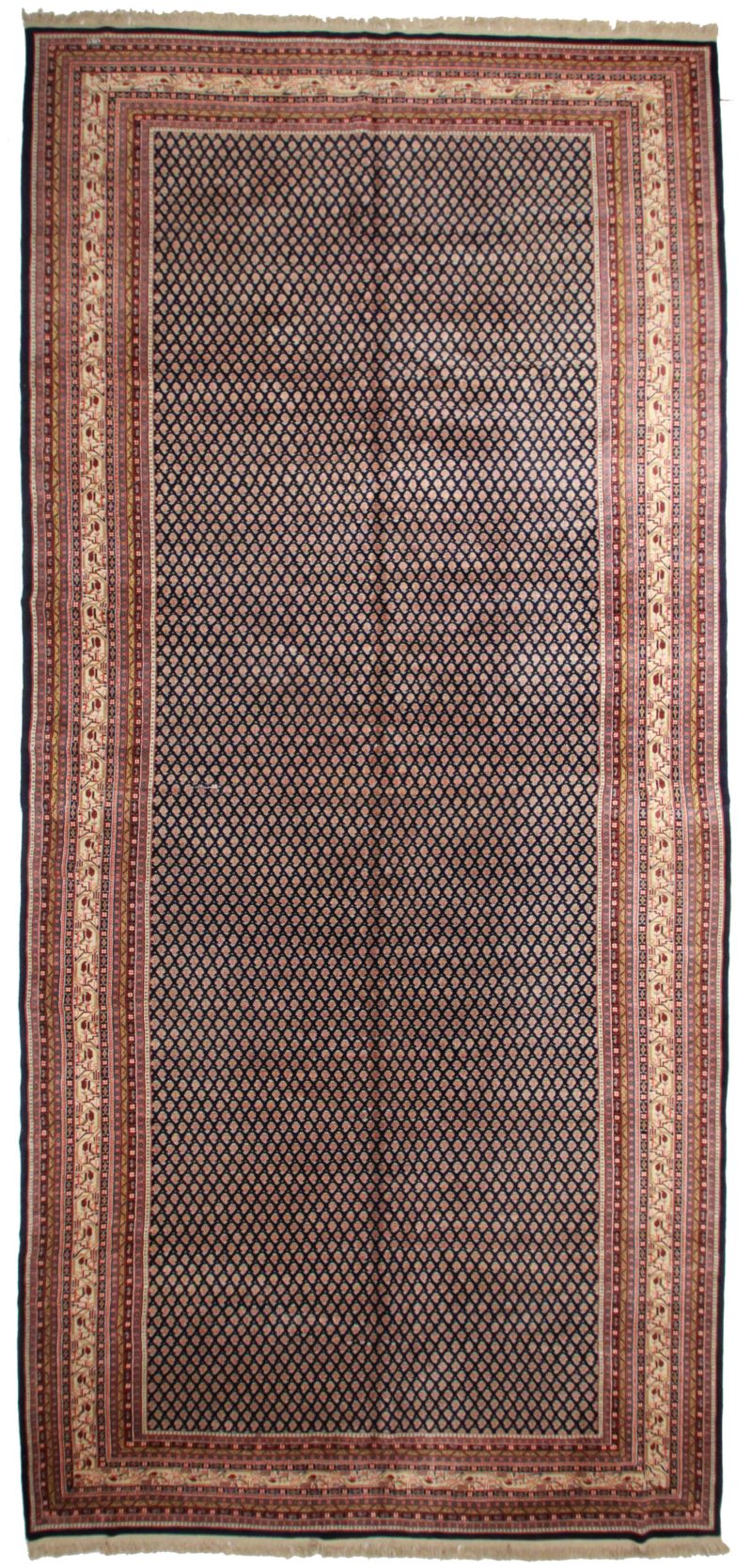 Large Indian 10 x 21 Wool Oriental Rug 1906