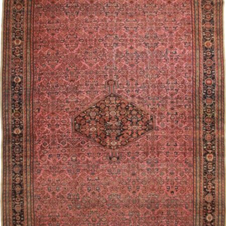 Large Persian Hamedan 13x21 Oriental Rug 1736