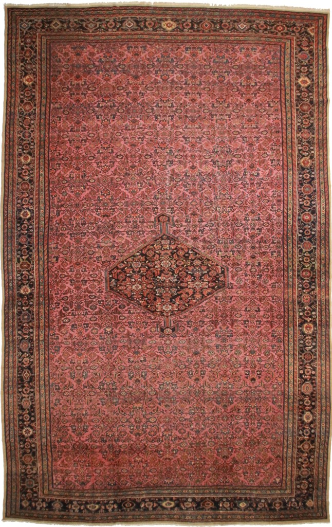 Large Persian Hamedan 13x21 Oriental Rug 1736