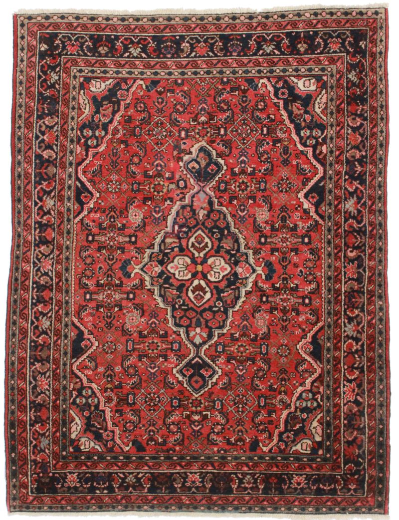 Persian Hamedan 4 x 7 Oriental Rug 4311