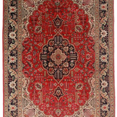 Persian Tabriz 6x9 Wool Oriental Rug 5264