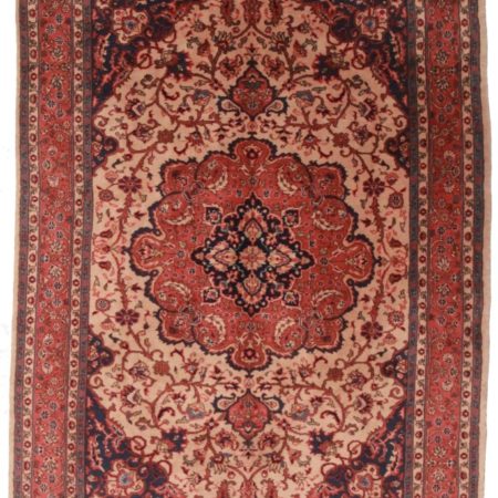 Turkish Sparta 7x10 Oriental Rug 5255