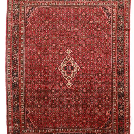 11 x 14 Persian Hassan Abad Rug 10078