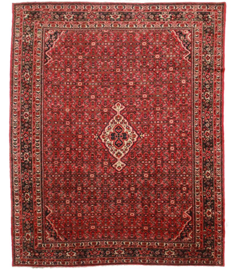 11 x 14 Persian Hassan Abad Rug 10078