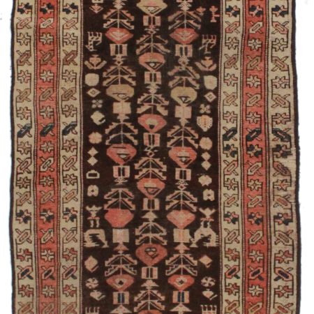 3'3" x 9'6" Antique Persian Malayer Runner Rug 9681
